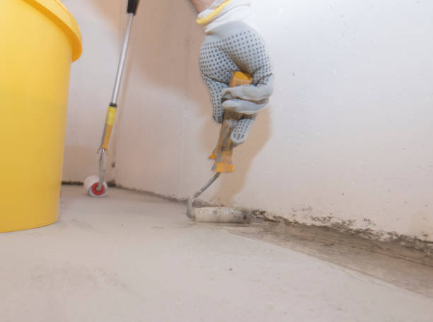 Best Termite Inspection and Treatment  in Elmsford, NY